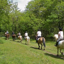 Escursione a cavallo