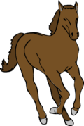 avatar-cavallo
